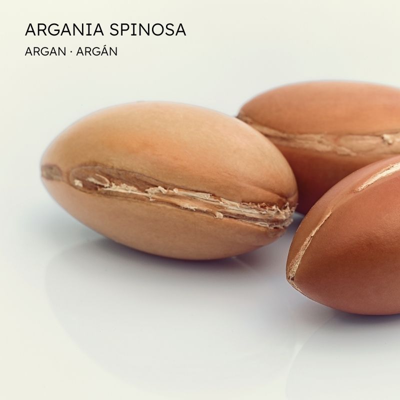 Argan