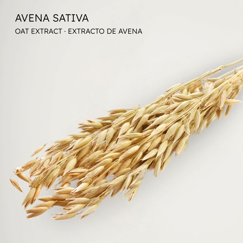 Avena - Oat