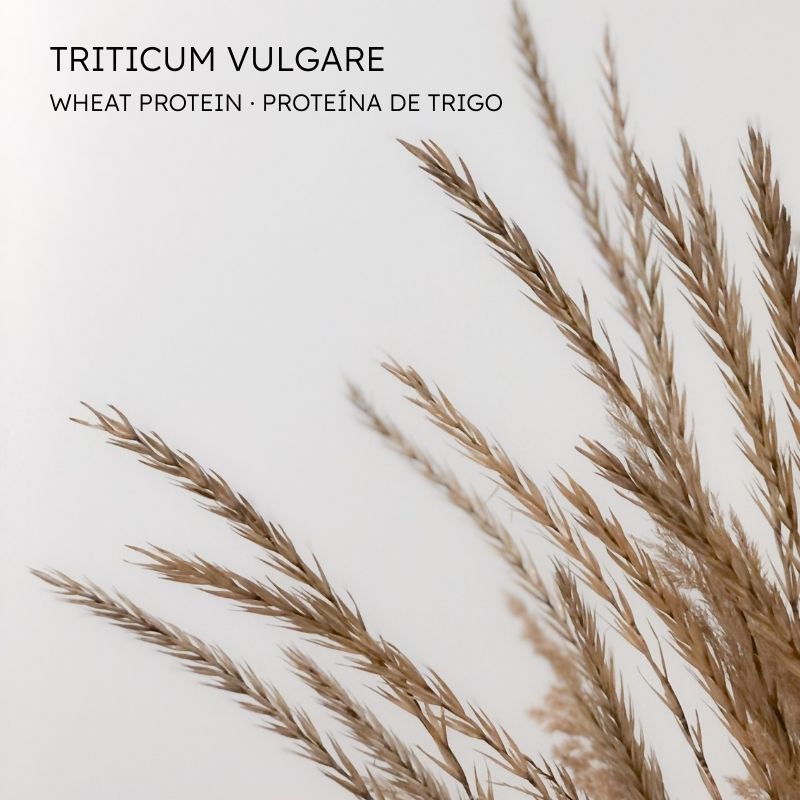 Proteina trigo