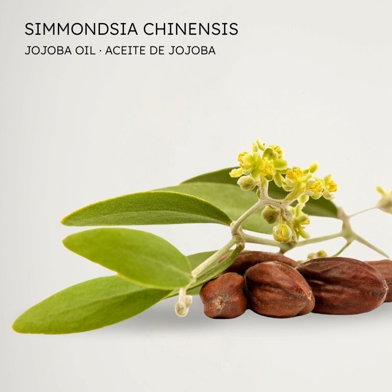 Aceite de jojoba